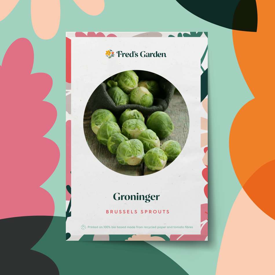 Brysselkål 'Groninger' (frö)